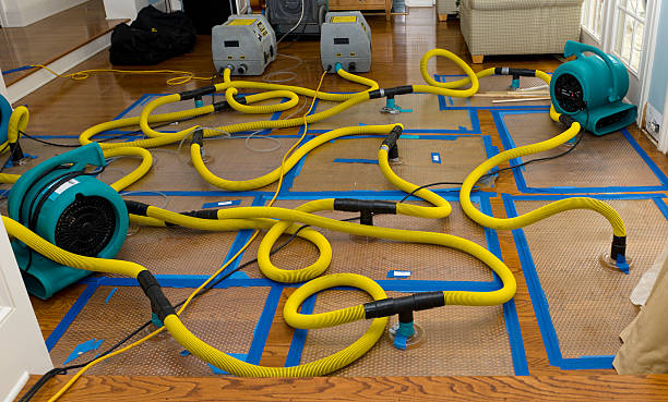 Professional Structural Drying And Dehumidification technician working in Ashland, NJ