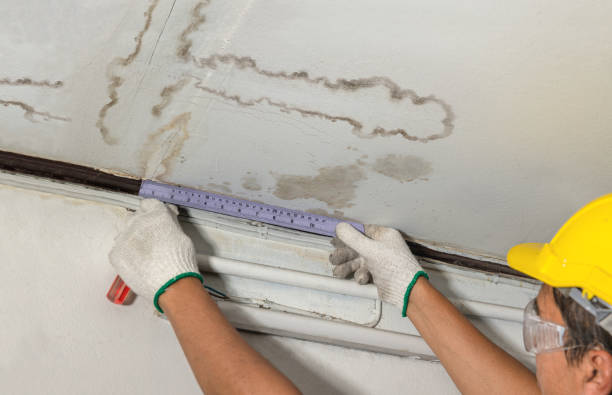 Affordable Water Damage Repair solutions in Ashland, NJ